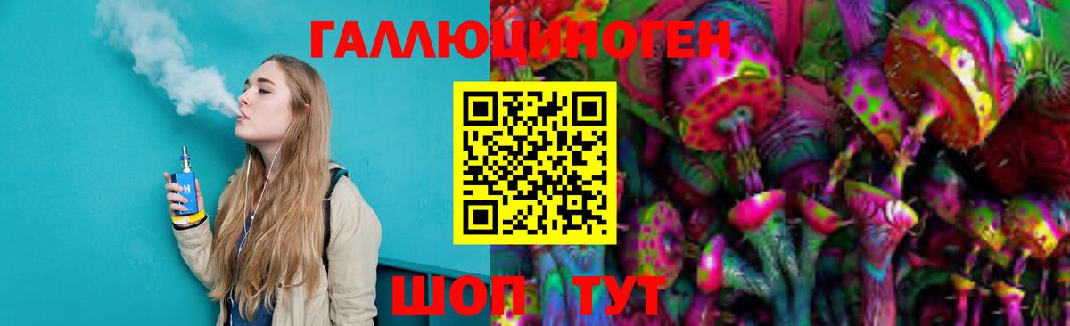 Мирный  Псилоцибиновые грибы Psilocybe  Вход с VPN 